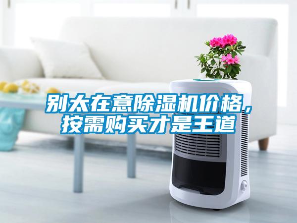 别太在意麻豆视频黄网站价格，按需购买才是王道
