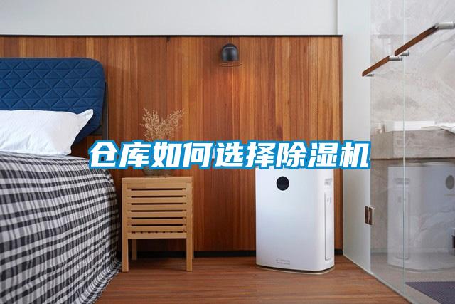 仓库如何选择麻豆视频黄网站