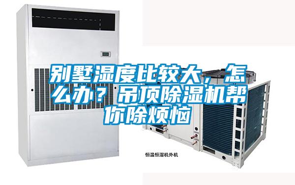 别墅湿度比较大,怎么办?吊顶麻豆视频黄网站帮你除烦恼