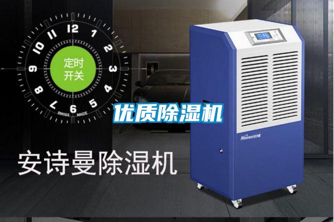 优质麻豆视频黄网站