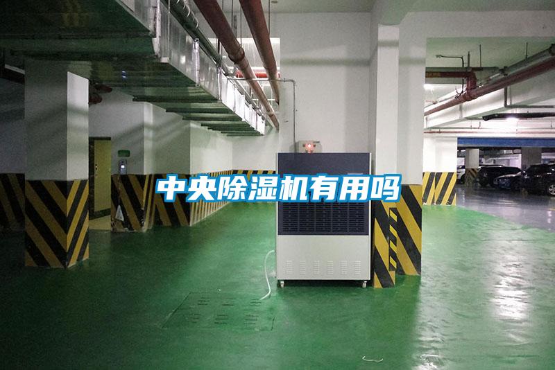 中央麻豆视频黄网站有用吗