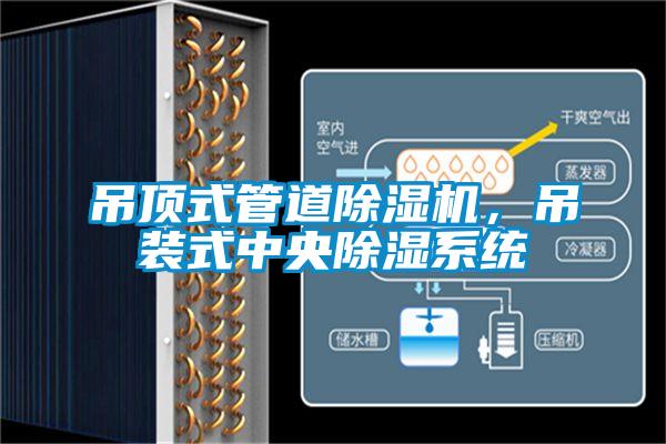 吊顶式管道麻豆视频黄网站，吊装式中央除湿系统