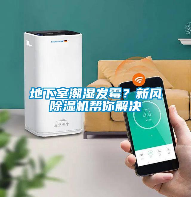 地下室潮湿发霉？新风麻豆视频黄网站帮你解决