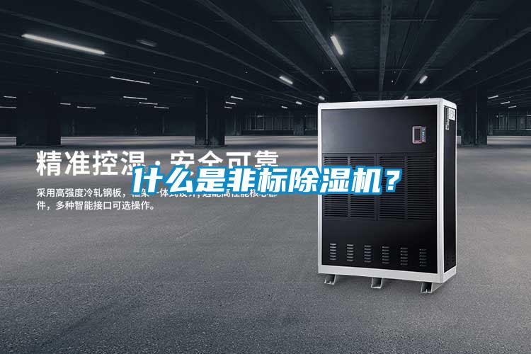 什么是非标麻豆视频黄网站？