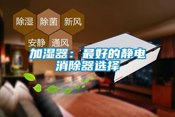 加湿器：最好的静电消除器选择