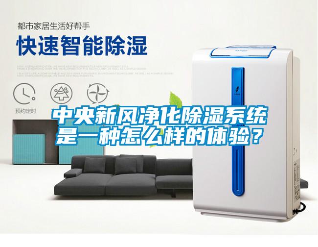 中央新风净化除湿系统是一种怎么样的体验？