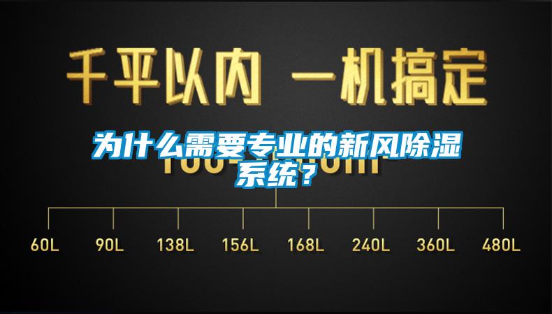 为什么需要专业的新风除湿系统？