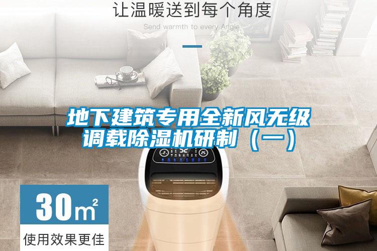 地下建筑专用全新风无级调载麻豆视频黄网站研制（一）