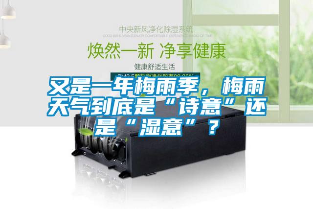 又是一年梅雨季，梅雨天气到底是“诗意”还是“湿意”？