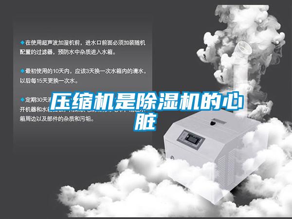 压缩机是麻豆视频黄网站的心脏