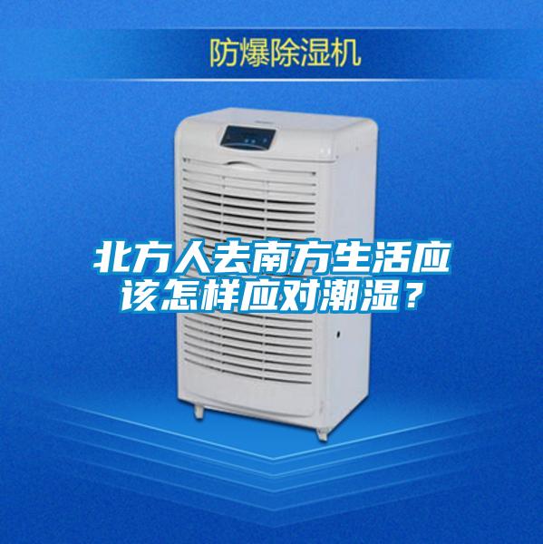 北方人去南方生活应该怎样应对潮湿？