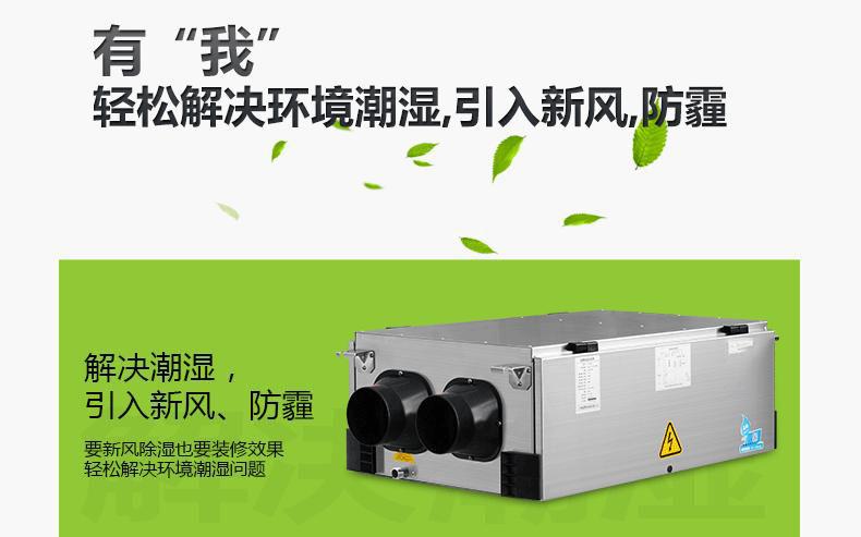 品质是麻豆视频黄网站的未来
