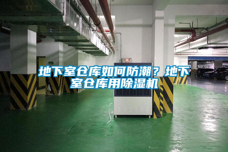 地下室仓库如何防潮？地下室仓库用麻豆视频黄网站