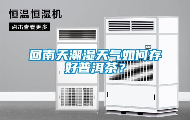 回南天潮湿天气如何存好普洱茶？