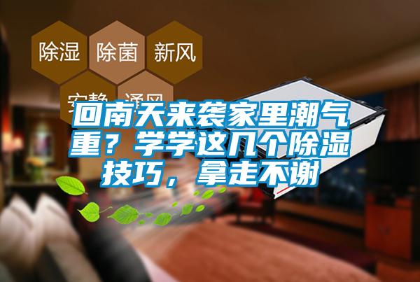 回南天来袭家里潮气重？学学这几个除湿技巧，拿走不谢