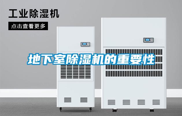 地下室麻豆视频黄网站的重要性