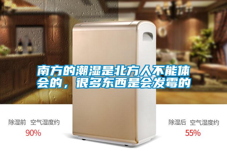 南方的潮湿是北方人不能体会的，很多东西是会发霉的