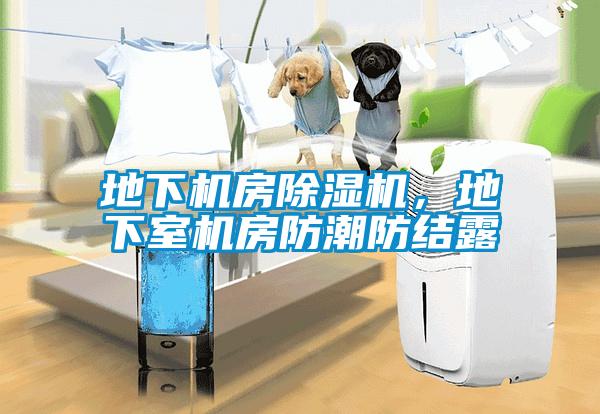 地下机房麻豆视频黄网站，地下室机房防潮防结露
