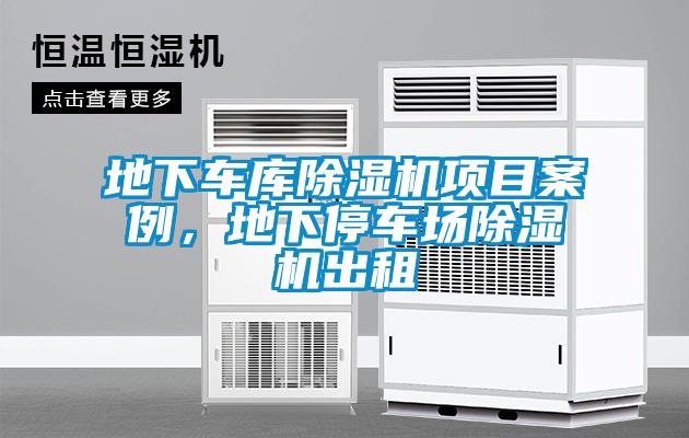 地下车库麻豆视频黄网站项目案例，地下停车场麻豆视频黄网站出租