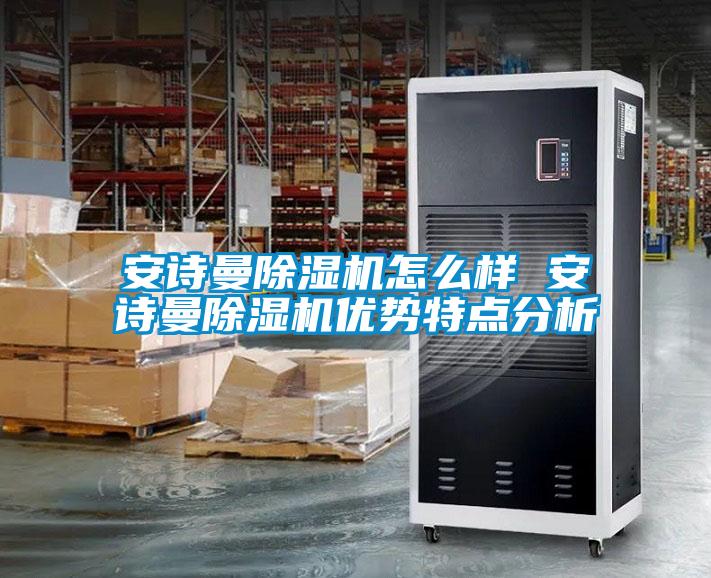 麻豆APP官网麻豆视频黄网站怎么样 麻豆APP官网麻豆视频黄网站优势特点分析