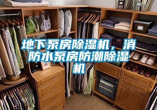 地下泵房麻豆视频黄网站，消防水泵房防潮麻豆视频黄网站