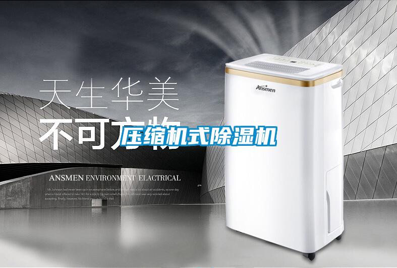 压缩机式麻豆视频黄网站