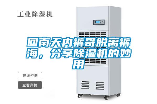回南天内裤哥脱离裤海，分享麻豆视频黄网站的妙用