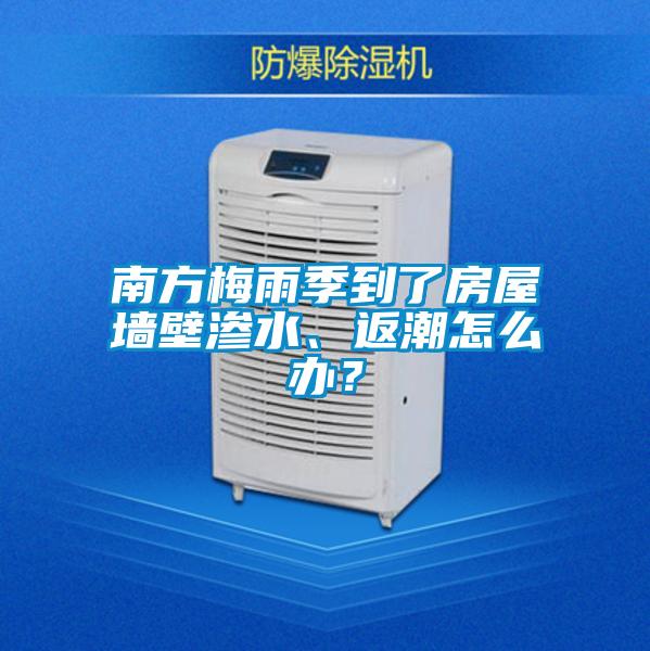 南方梅雨季到了房屋墙壁渗水、返潮怎么办？