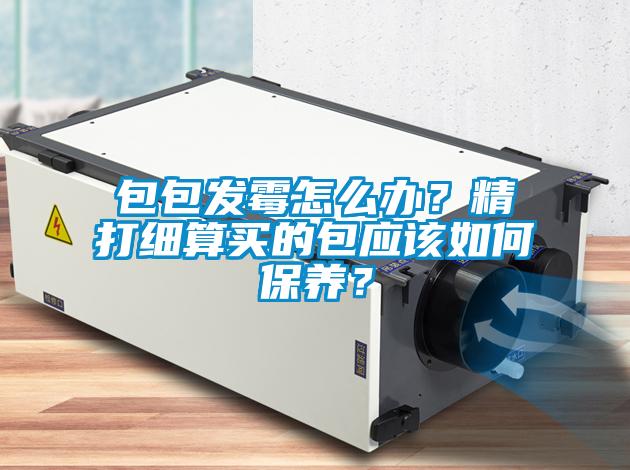 包包发霉怎么办？精打细算买的包应该如何保养？