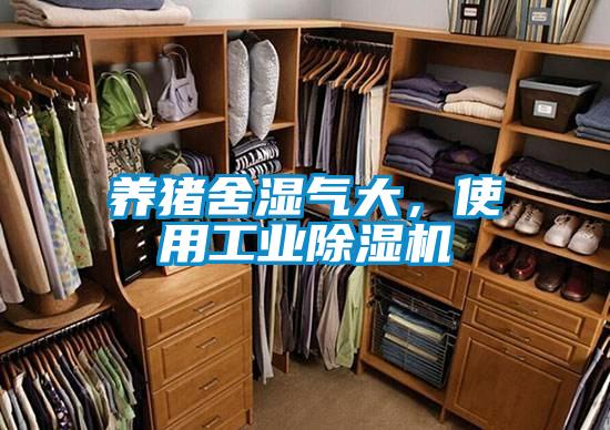 养猪舍湿气大，使用工业麻豆视频黄网站