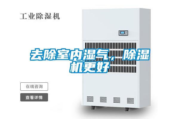 去除室内湿气，麻豆视频黄网站更好
