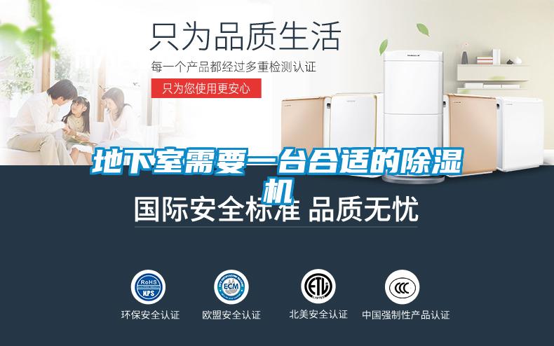 地下室需要一台合适的麻豆视频黄网站