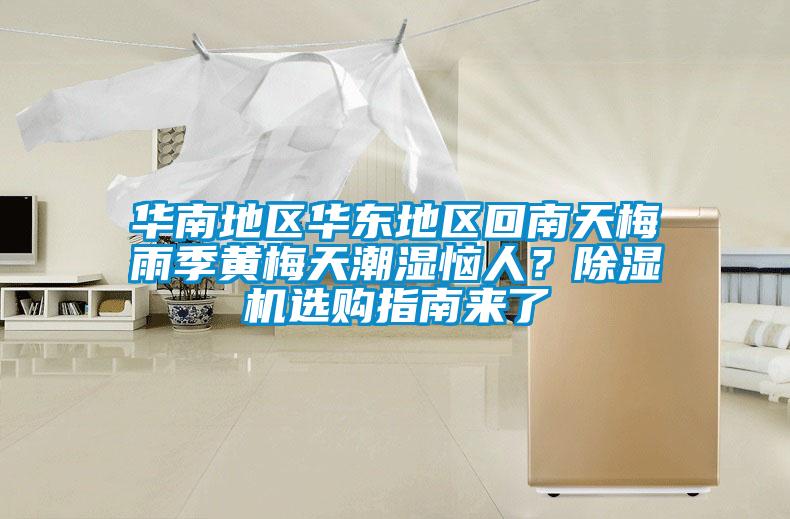 华南地区华东地区回南天梅雨季黄梅天潮湿恼人？麻豆视频黄网站选购指南来了