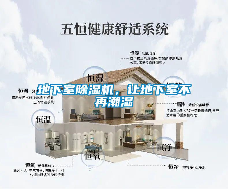 地下室麻豆视频黄网站，让地下室不再潮湿