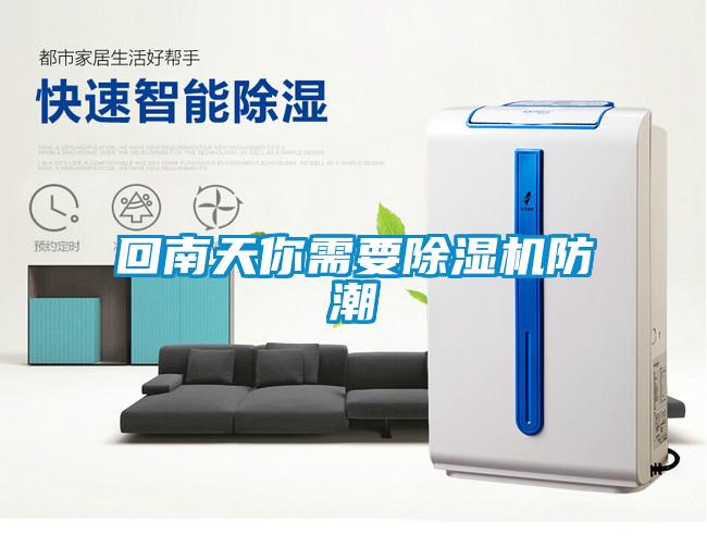 回南天你需要麻豆视频黄网站防潮