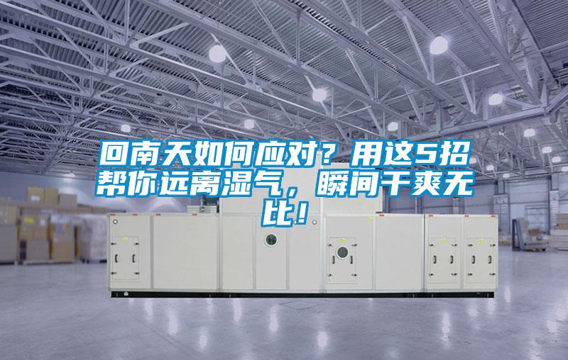 回南天如何应对？用这5招帮你远离湿气，瞬间干爽无比！