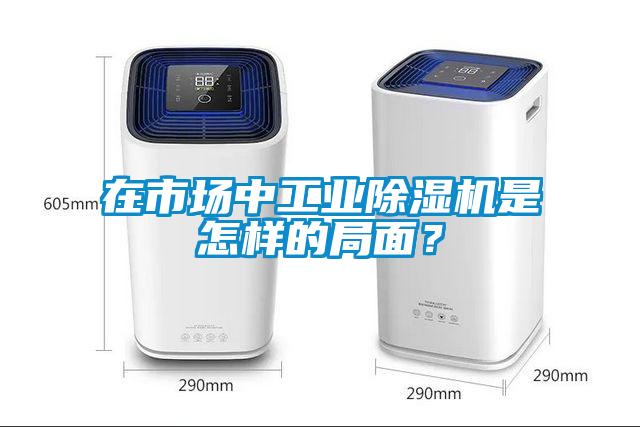 在市场中工业麻豆视频黄网站是怎样的局面？