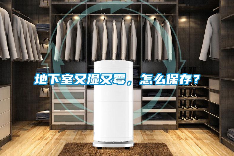 地下室又湿又霉，怎么保存？