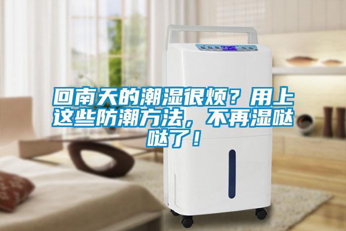 回南天的潮湿很烦？用上这些防潮方法，不再湿哒哒了！