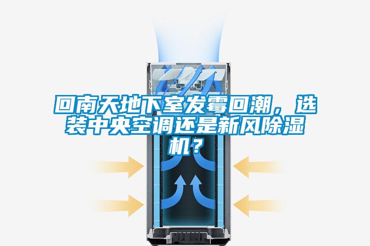 回南天地下室发霉回潮，选装中央空调还是新风麻豆视频黄网站？