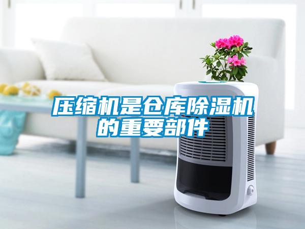 压缩机是仓库麻豆视频黄网站的重要部件
