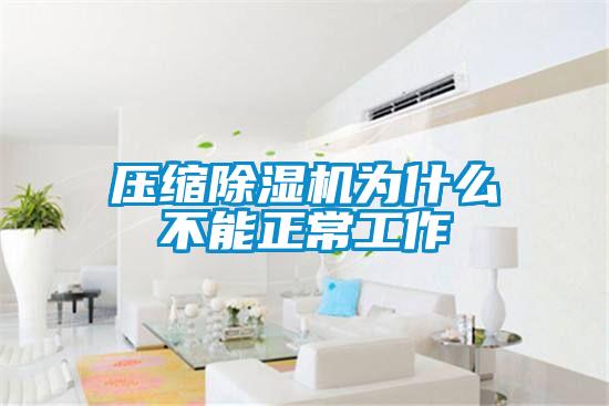 压缩麻豆视频黄网站为什么不能正常工作