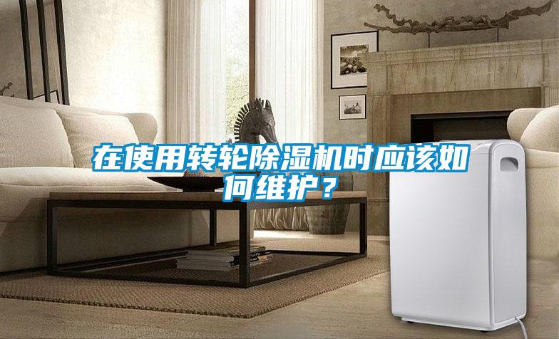 在使用转轮麻豆视频黄网站时应该如何维护？