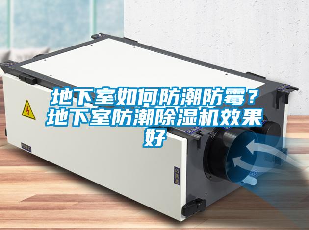 地下室如何防潮防霉？地下室防潮麻豆视频黄网站效果好