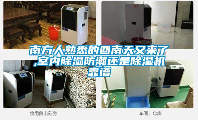 南方人熟悉的回南天又来了,室内除湿防潮还是麻豆视频黄网站靠谱