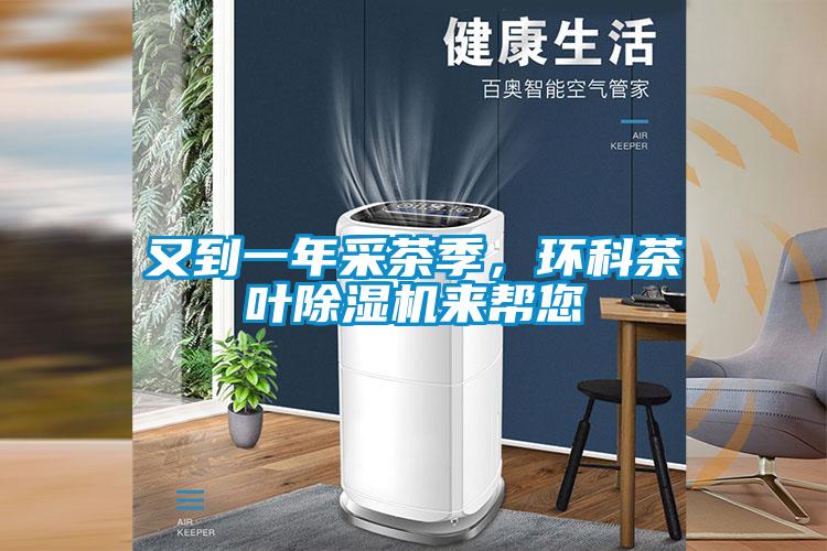 又到一年采茶季，环科茶叶麻豆视频黄网站来帮您