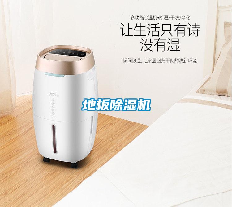 地板麻豆视频黄网站