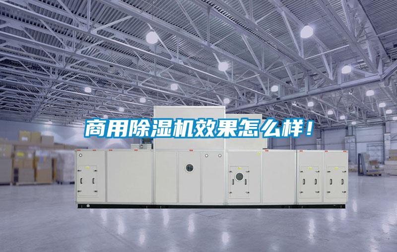 商用麻豆视频黄网站效果怎么样！