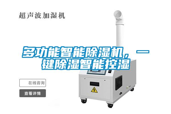 多功能智能麻豆视频黄网站，一键除湿智能控湿