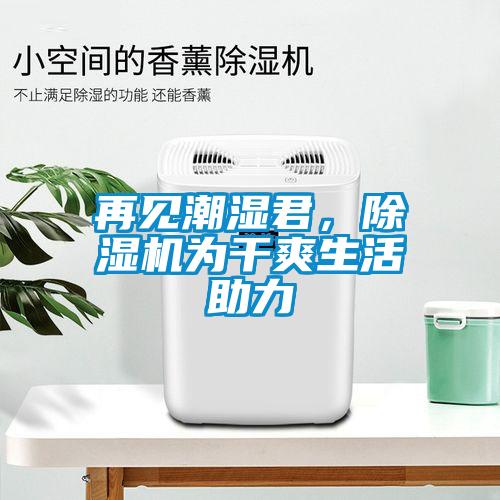 再见潮湿君，麻豆视频黄网站为干爽生活助力